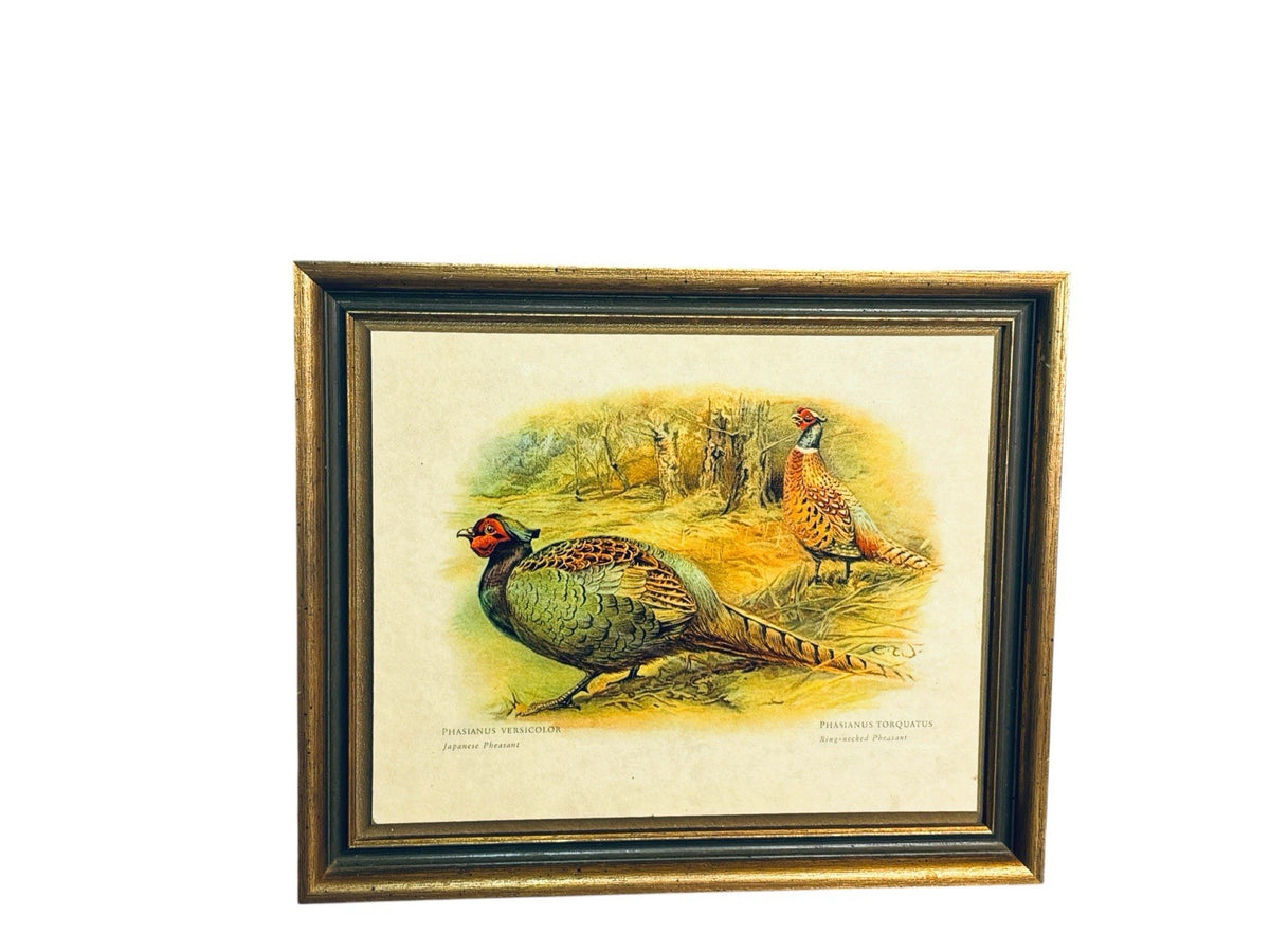 Vtg Sewell Gold Frame Phasianus Versicolor /Anas Boschas, Set of 2