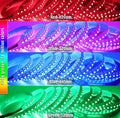 L5M Multicolor LED Strip Light, DC24 V 5 m/16.4 ft