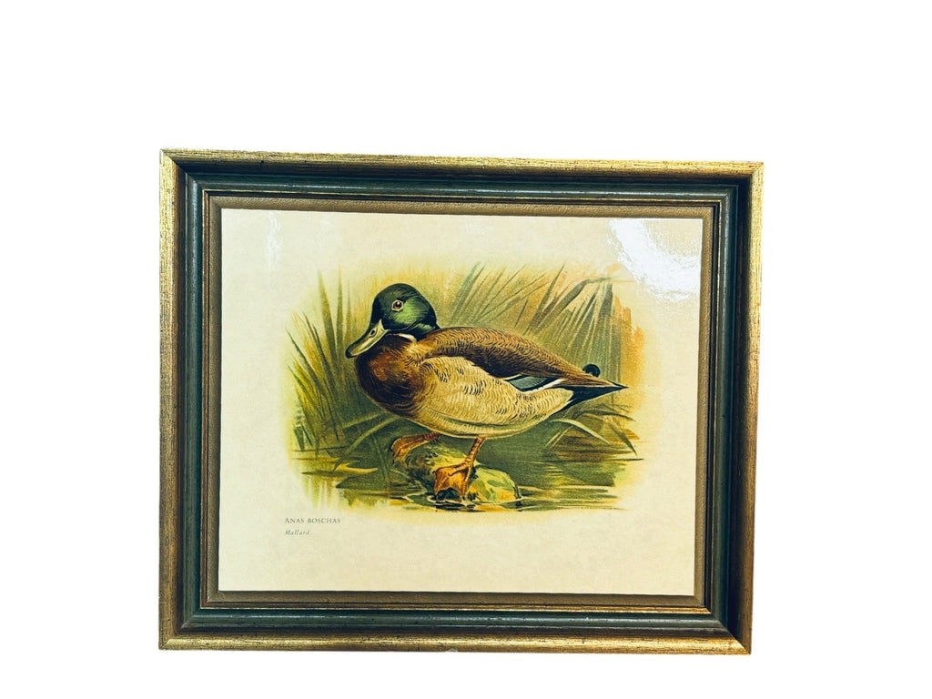 Vtg Sewell Gold Frame Phasianus Versicolor /Anas Boschas, Set of 2