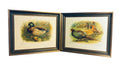 Vtg Sewell Gold Frame Phasianus Versicolor /Anas Boschas, Set of 2